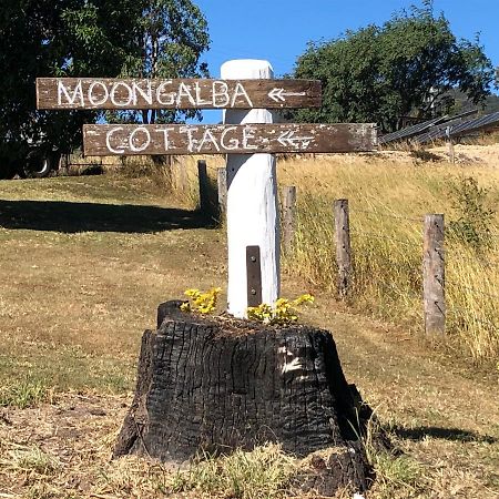 Moongalba Cottage Kerry Zewnętrze zdjęcie